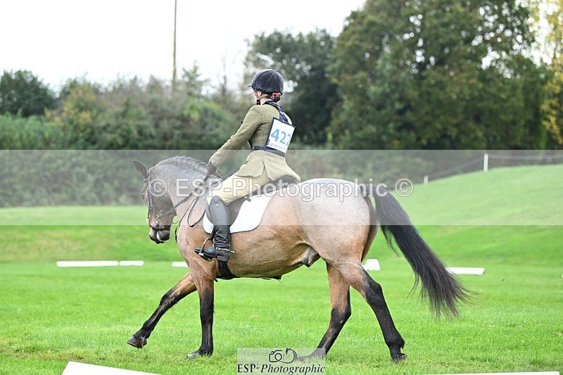 241024-150034-04674 - 422-Janine.Paterson-LAHINCH.TEDDY