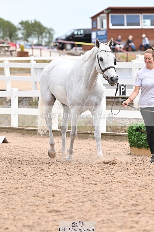 250716-154709-02191 - Trot Up 3.30 to 4.30