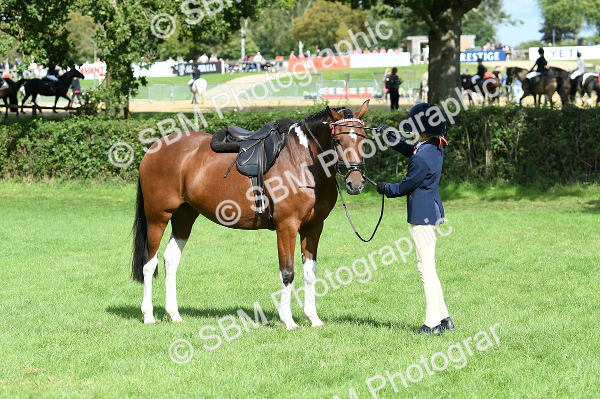 SBM_47148 - S12 - Family Horse & Pony