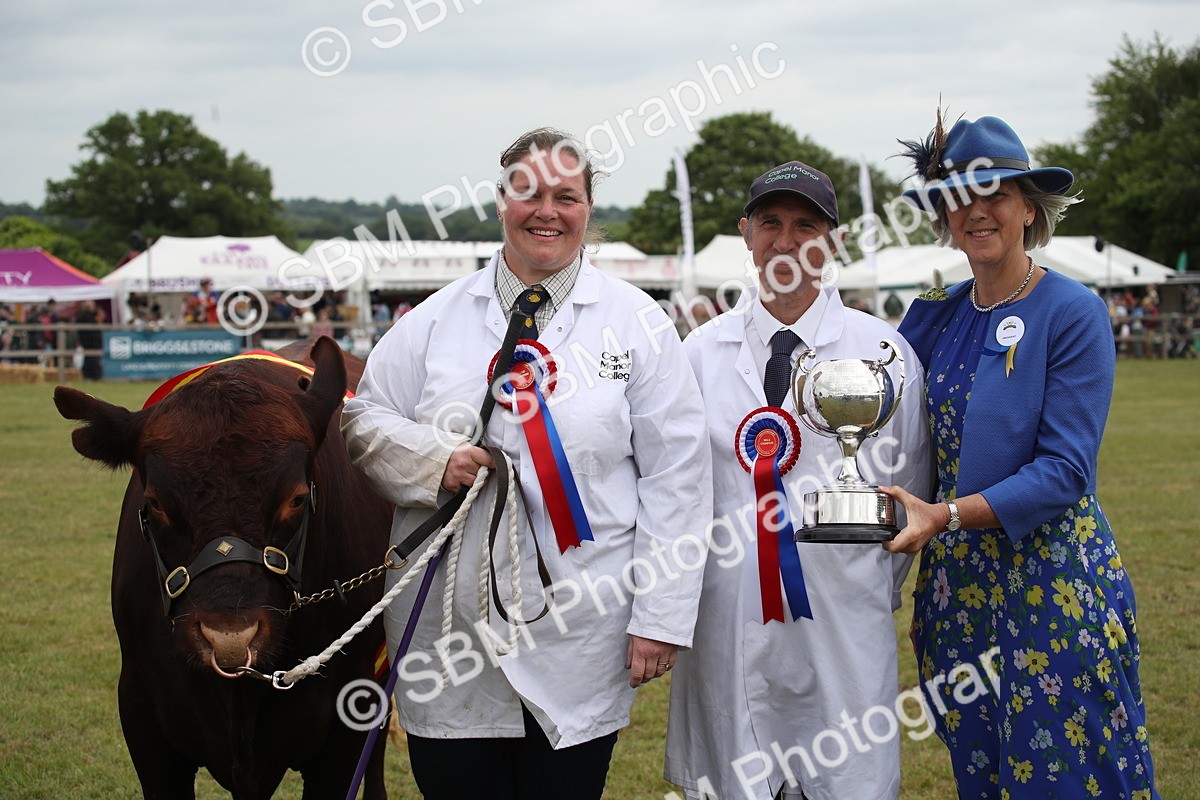 SBM_07914 - Grand Parade