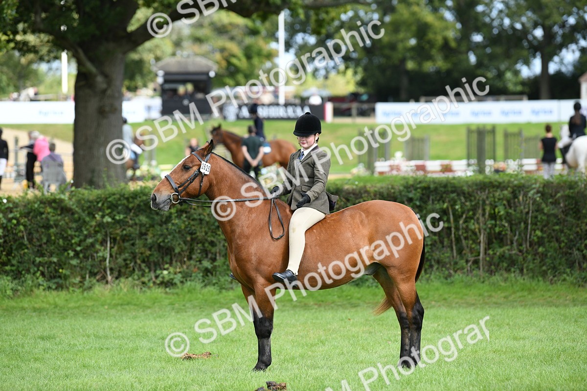 SBM_46876 - S12 - Family Horse & Pony