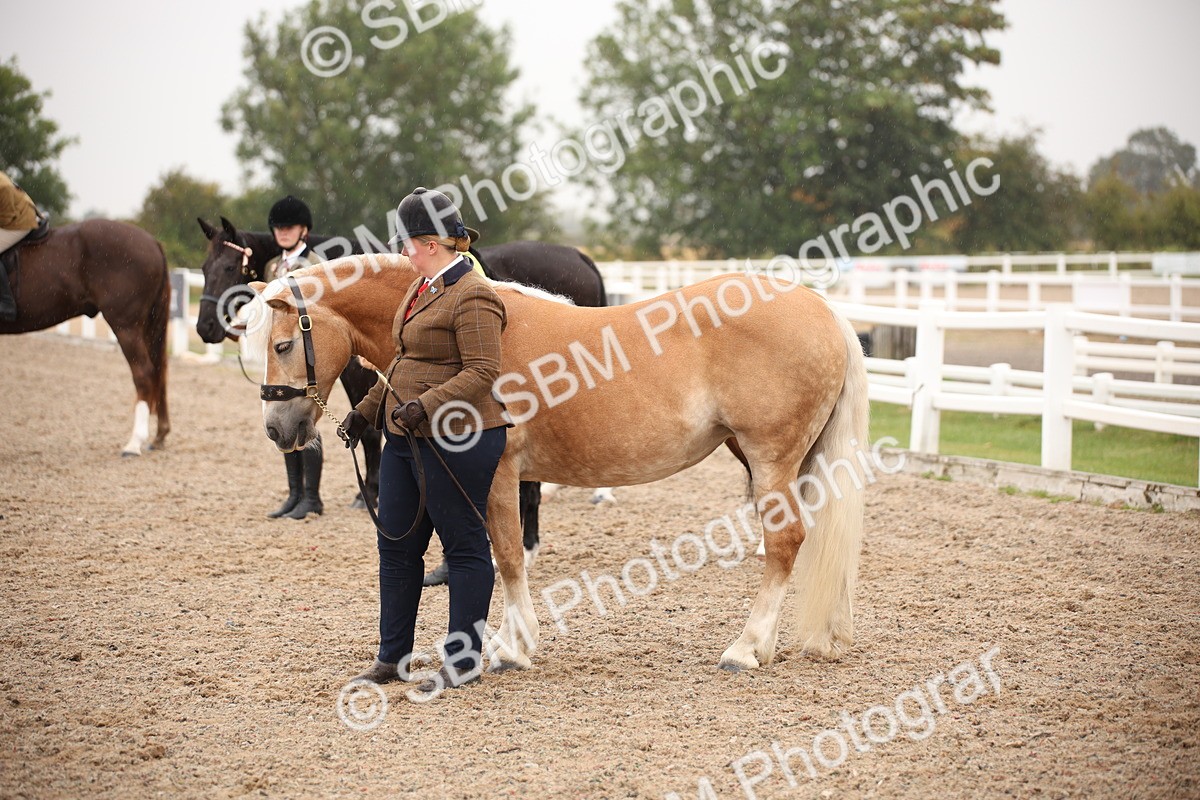SBM_19283 - Class 701 - Best Turned Out IH & Ridden