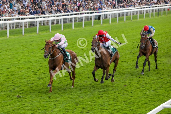 230824-Race 2-Vauban-8337 - Race 2 2.25pm Weatherbys Hamilton Lonsdale Cup Stakes