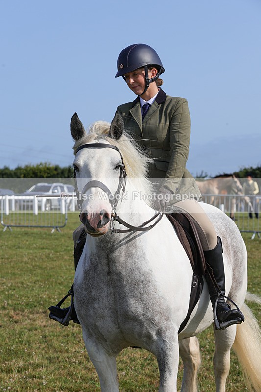 1X9A3374 - Class 28: Ridden Native/Trad Coloured Pony