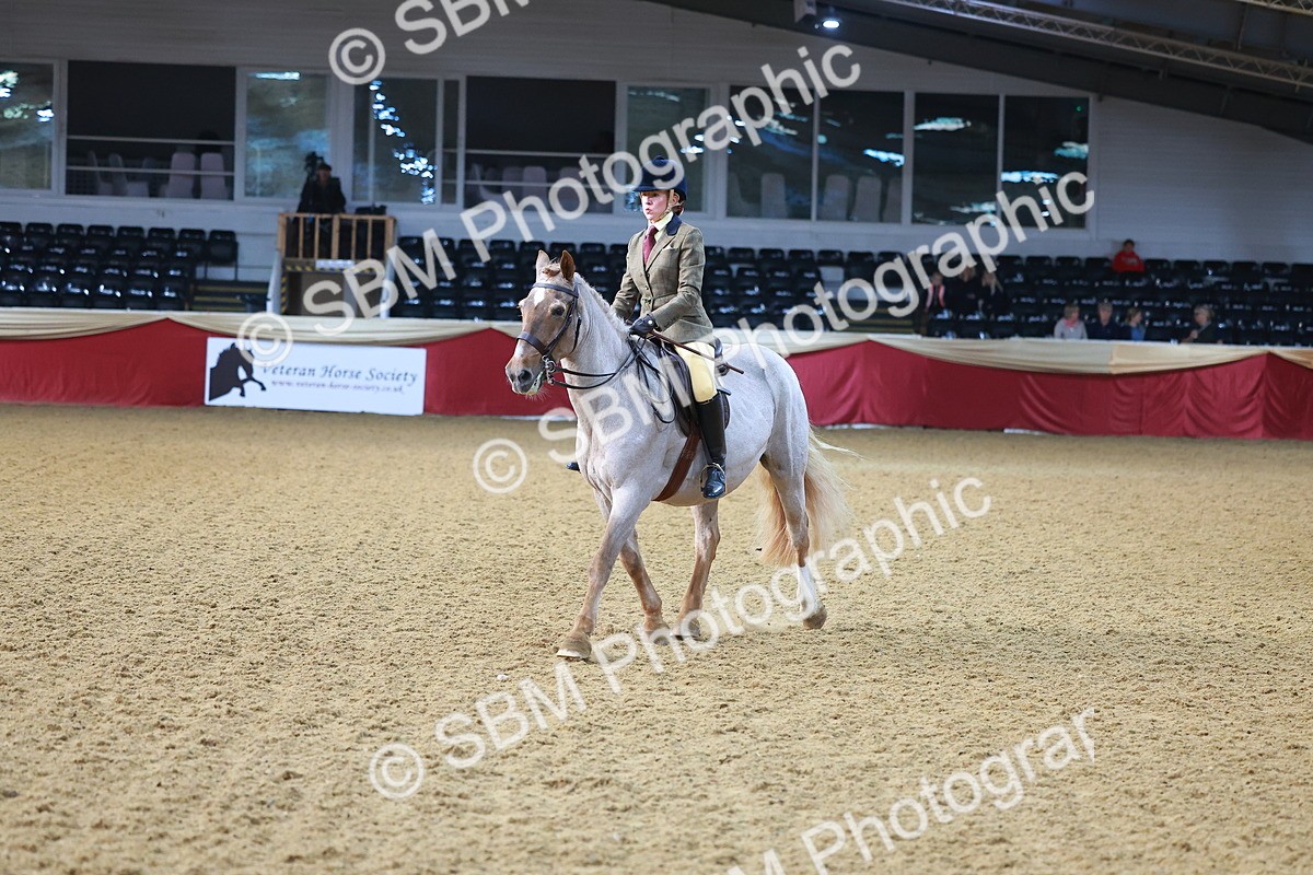 SBM_07686 - Class 101 - HOYS Veteran Qualifier - Ridden Diamond