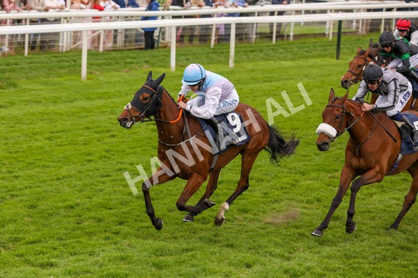 250524-Race 4-Term Of Endearment-3150 - Race 4 3.20pm William Hill Bronte Cup Fillies' Stakes