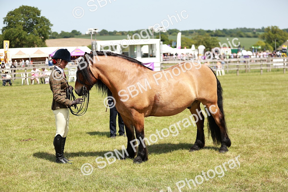 SBM_07151 - Class 26-30 - Mountain and Moorland Ridden
