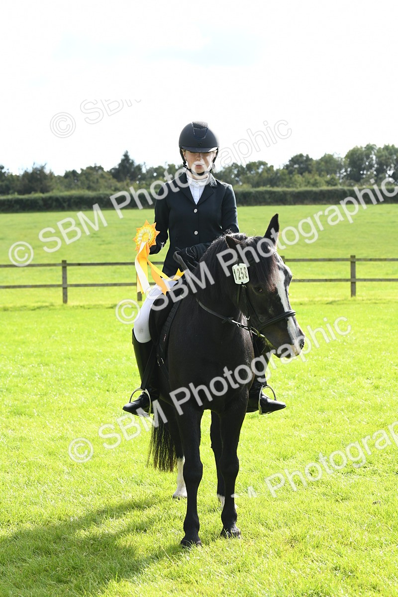 SBM_47250 - S12 - Family Horse & Pony