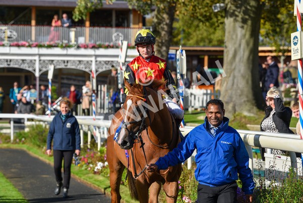 141023-Race 3-Montassib-1073 - Race 3 2.25pm Coral Sprint Trophy Handicap
