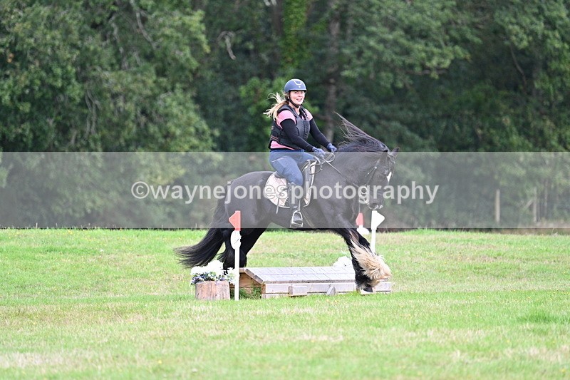 WJ7_7915 - 40cm Time 10:49 to 11:18