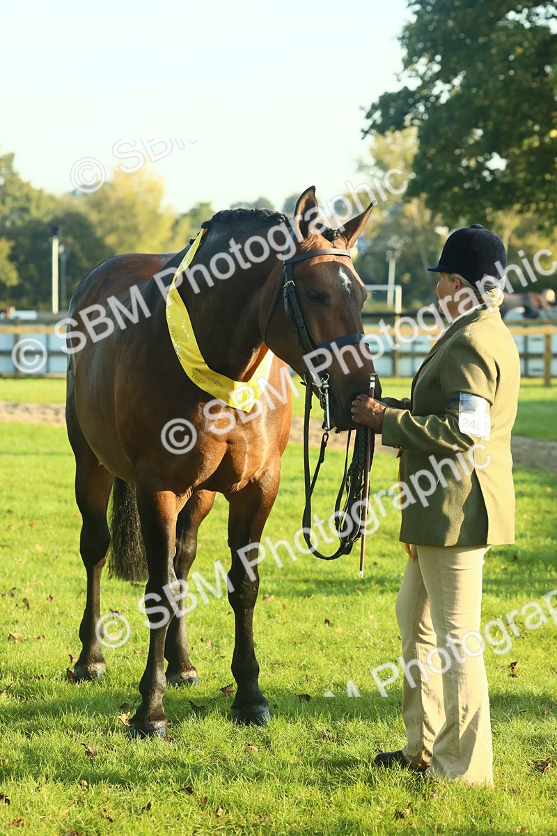 SBM_56761 - S36 - Starters Best Turnout