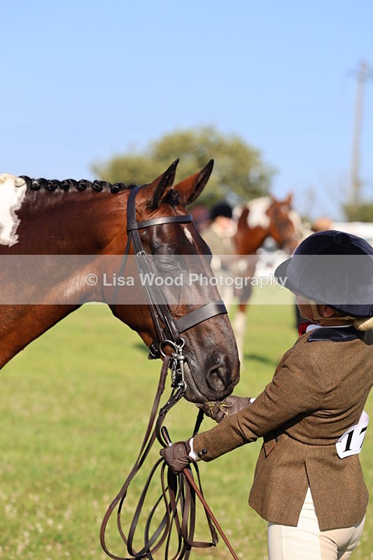 IMG_1324 - Class 27: Ridden Plaited Coloured Horse