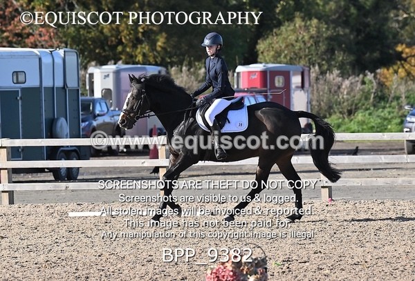 BPP_9382 - SHORT ARENA PRELIM 2