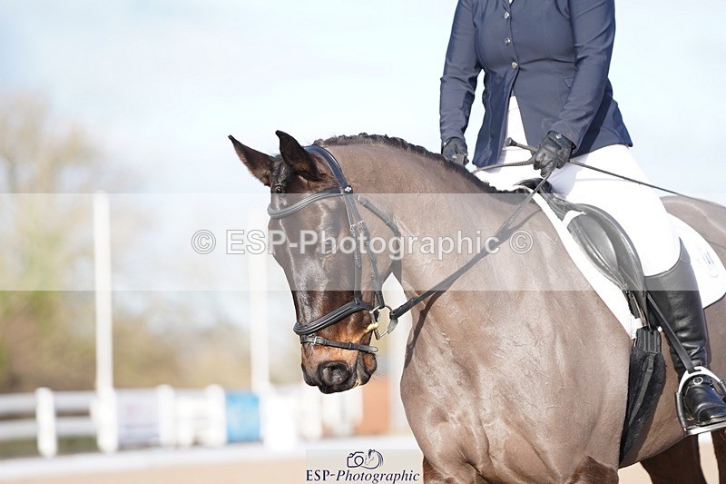 241214-124156-00490 - 140-Samantha.Henderson-Rich.Tricks.Otis