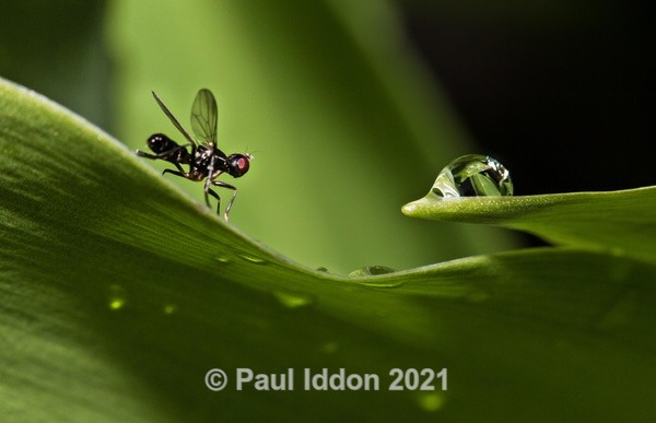 Someone took my spot! - Macro