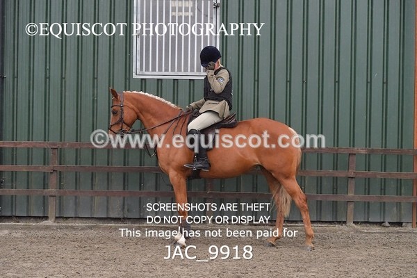 JAC_9918 - CLASS 3 Intermediate Working Hunter (0.70m - 0.85m)