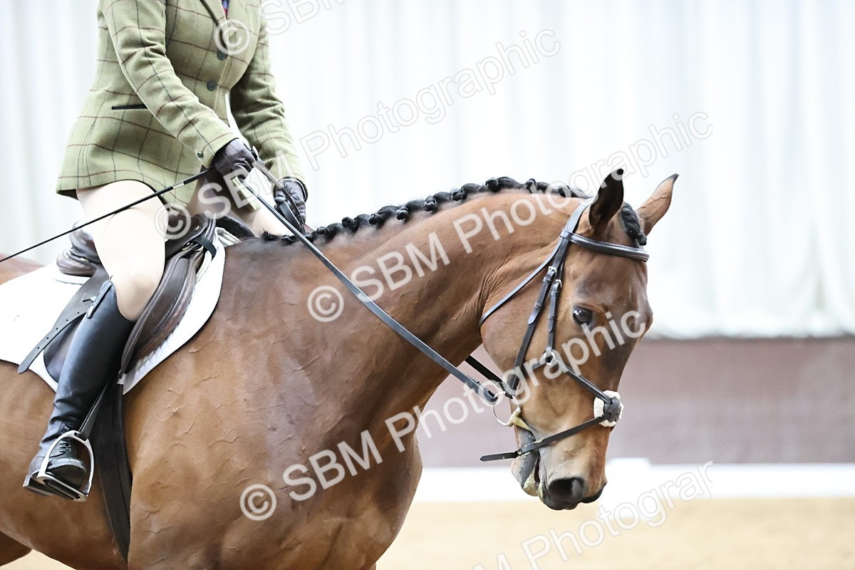 SBM_002193 - Class 6-9  - Novice 1-Elementary 1