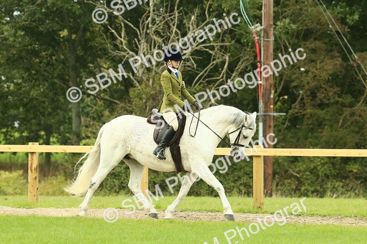 SBM_71861 - S60 - Mountain & Moorland Ridden Large Breeds