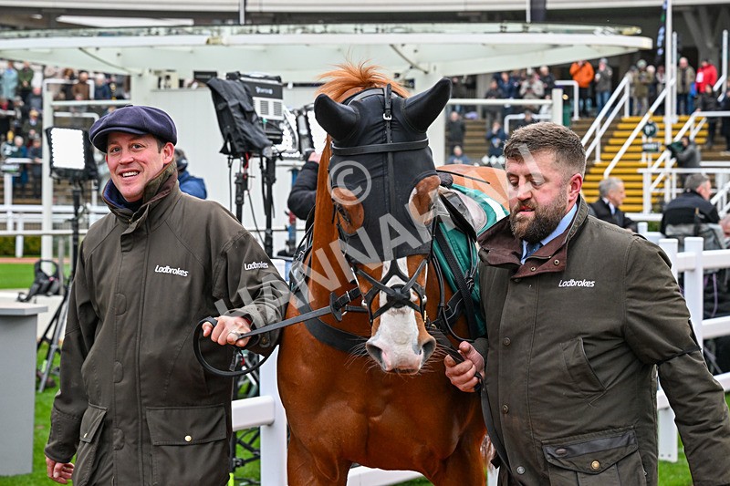 121225-Race 3-Fortune De Mer-4690 - Race 3
