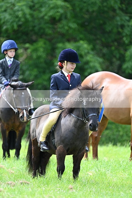 WJ7_1578 - Class 11 Condition & Turnout