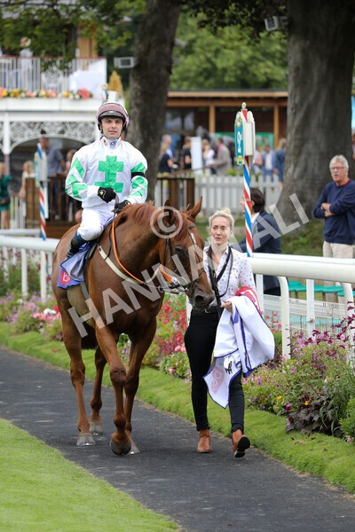 yr24072021r2-22 - Race 2 2.40pm Sky Bet Dash