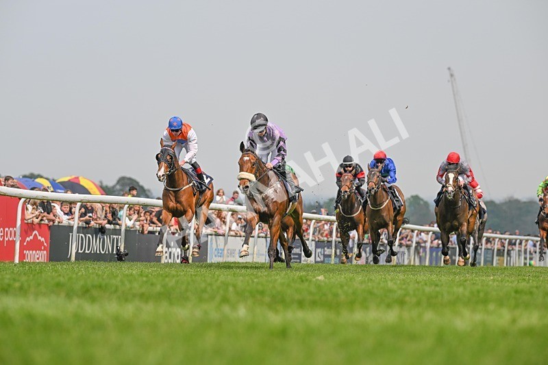 060524-Race 2-Brummell-1996 - Race 2