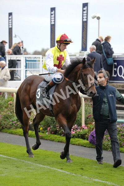 yr07102022r3-17 - Race 3 3.15pm British EBF £100,000 2yo Series Final (Colts and Geldings)