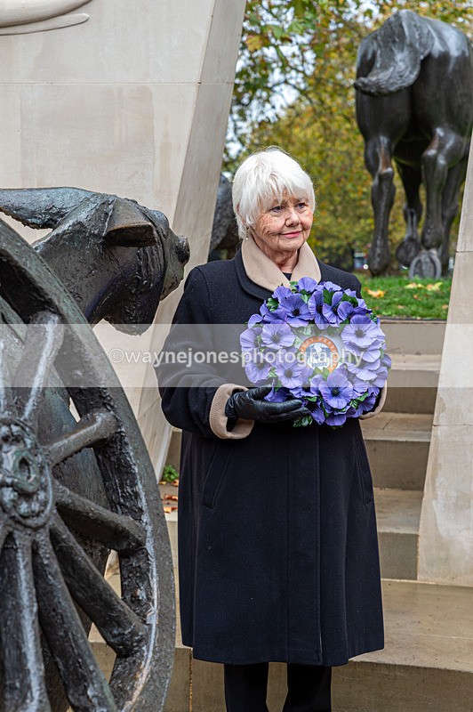 NGP_7064 - Animals In War Memorial - 10-11-23