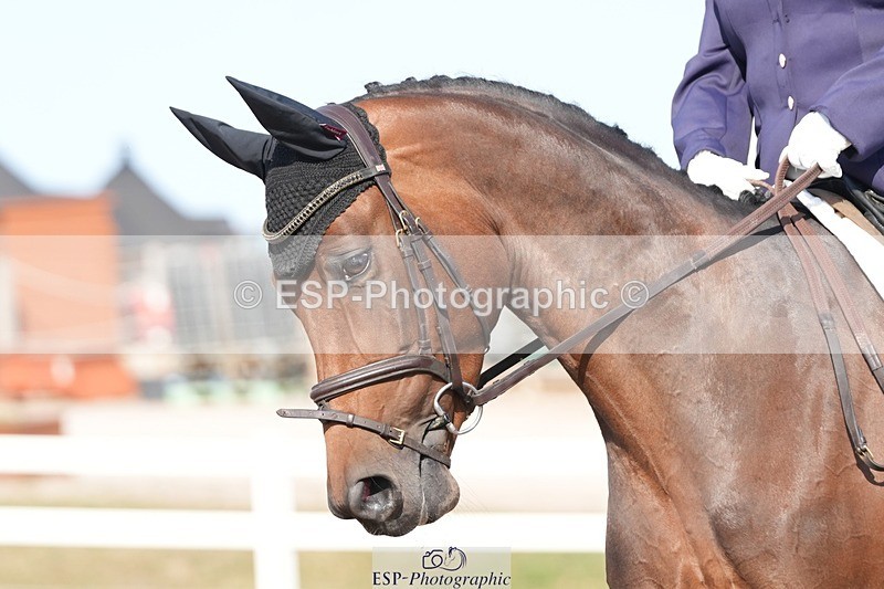 250817-164931-11967 - 211-Carey.CollettRubin's.Fanfare