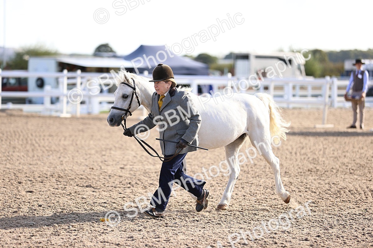 SBM_08523 - Class 402 - IH Veteran Pony