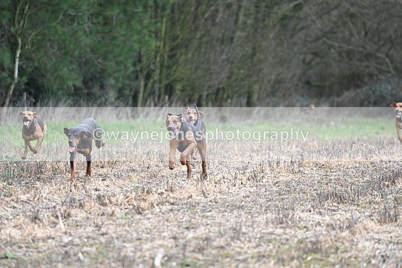 WJ6_9421 - Line Four