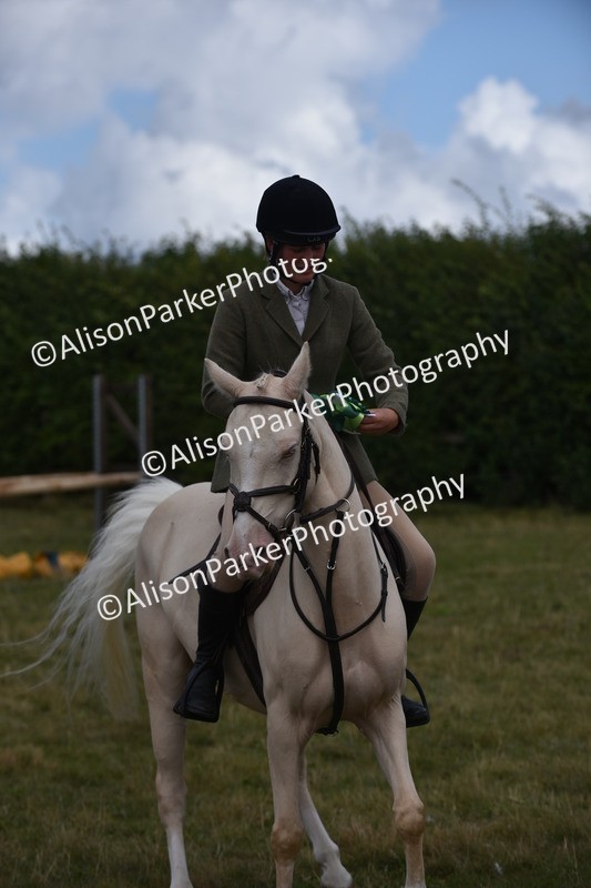 20250831-4140 - Class 13 - Working Hunter Horse or Pony