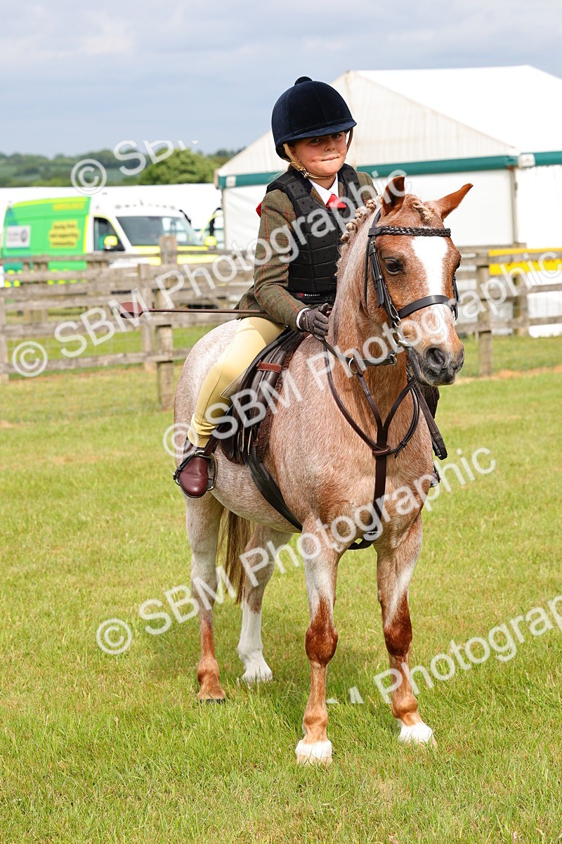 SBM_09675 - Class 44-45 - LIHS BSPS Open Nursery and Cradle Stakes