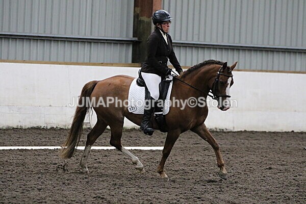 SIAL4268 - CAbin Dressage 5th july 2025