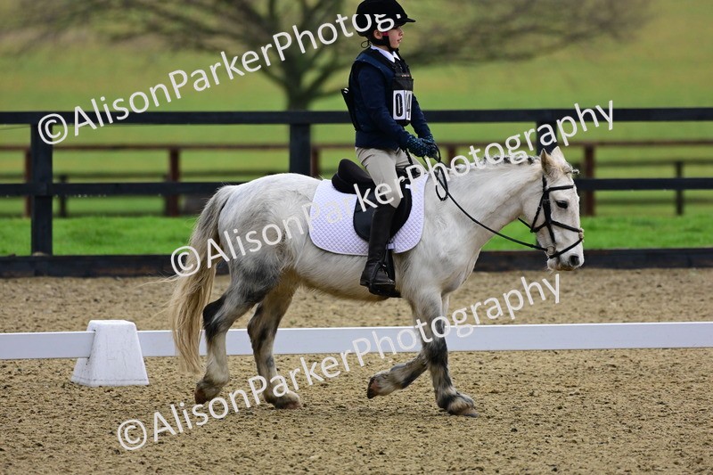 20260125-0521 - Class 9b - Walk Trot Unassisted