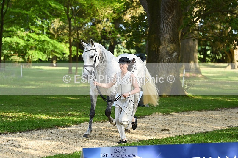 230524-172046-01451 - 170-MIND_OVER_MATTER-Lea_Boulesteix-WEDTrotUp+DR