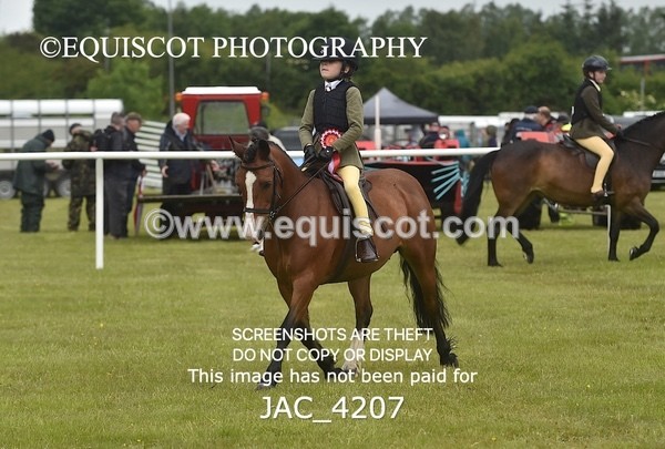 JAC_4207 - WORKING HUNTER CHAMPIONSHIP