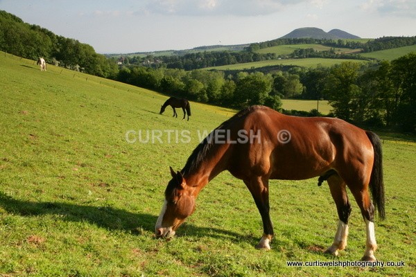 130 - SCOTTISH BORDERS