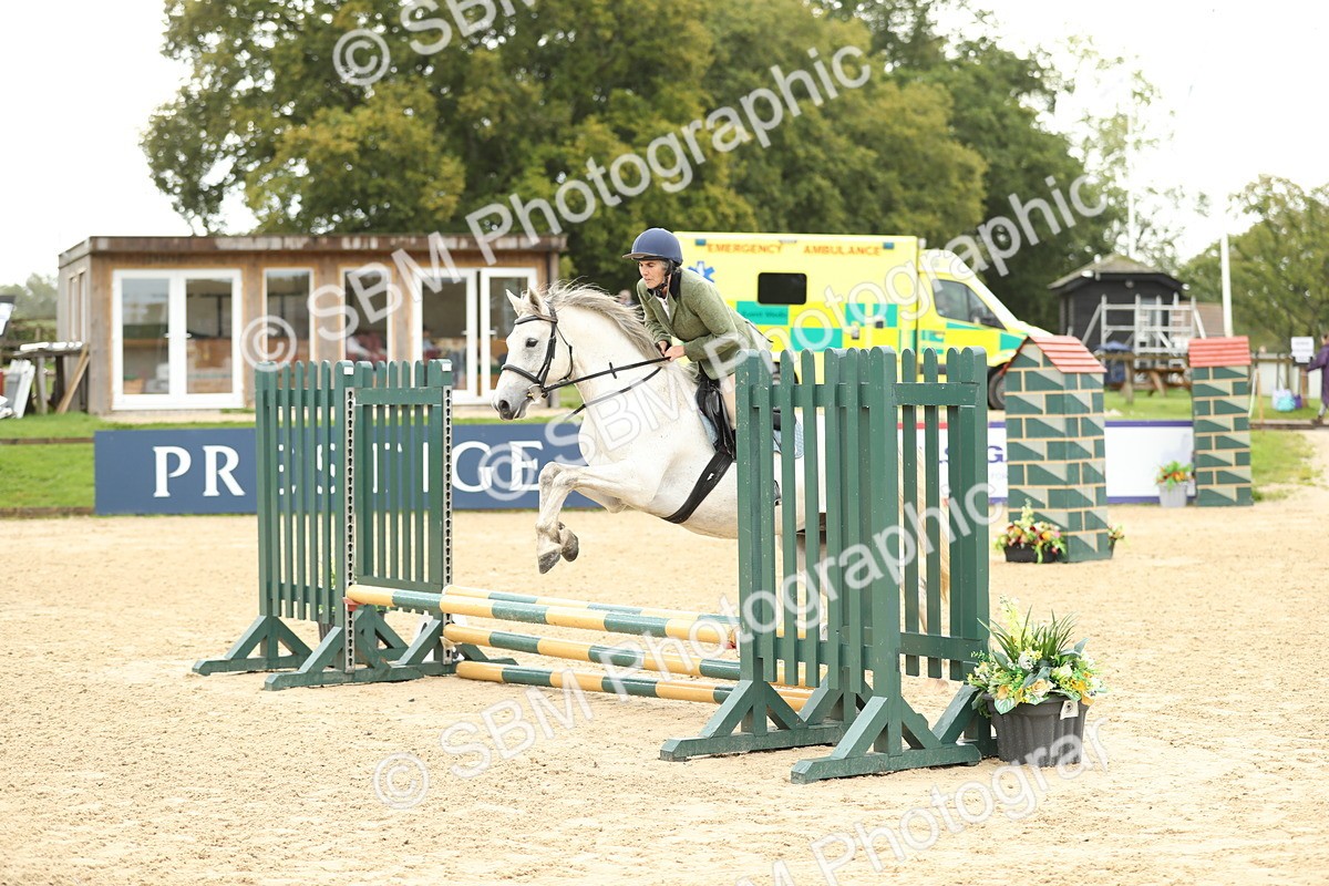 SBM_02001 - J34 - Veteran Rider 50cm