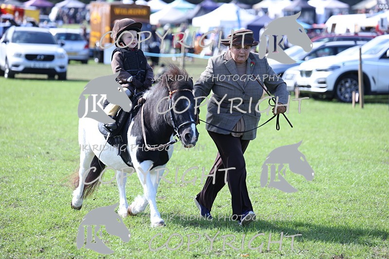 APP_3904 - Class 13 Lead rein