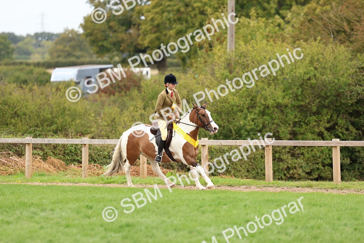 SBM_65219 - S59 - Part Bred Arab & Native Pony Ridden