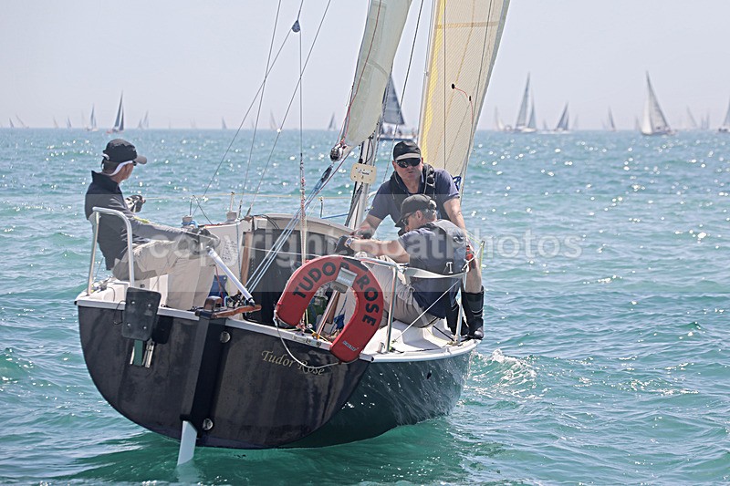 190629 TUDOR ROSE GBR1380R D43A4119_Edit - 170701 TUDOR ROSE GBR1380R