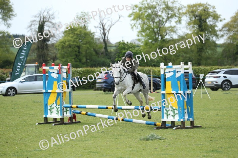 20260426-2096 - Class 15 - Absolute Novice 70cm