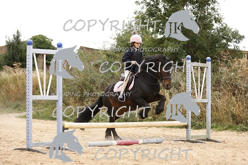 _R6A1050 - Sand arena