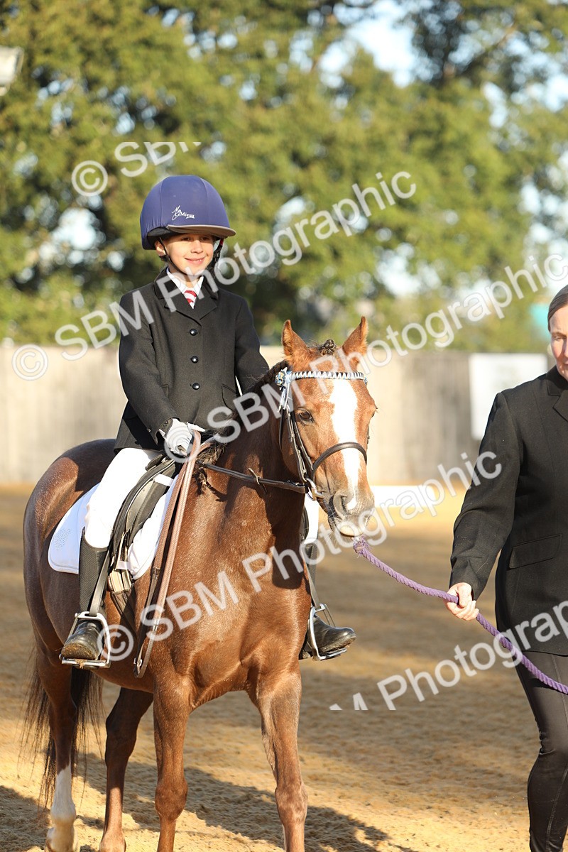 SBM_33642 - D26 - Starers - Lead Rein