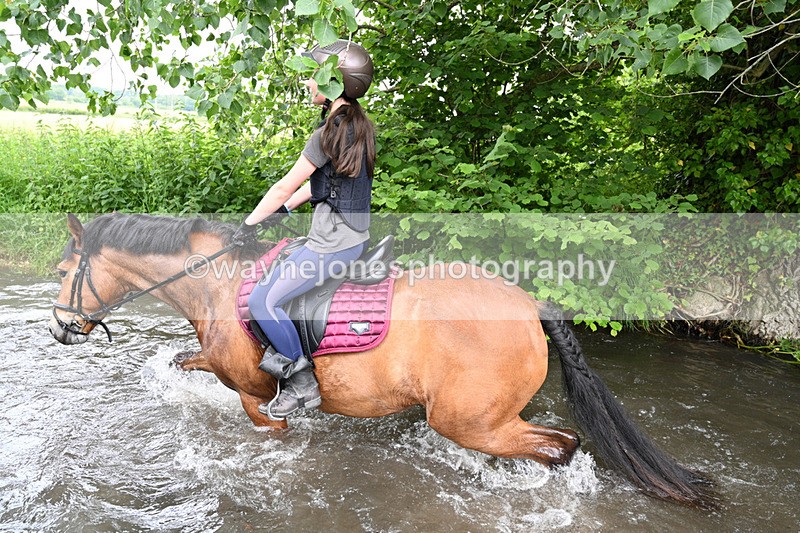 WJ7_1911 - Camera 2 Water Crossing