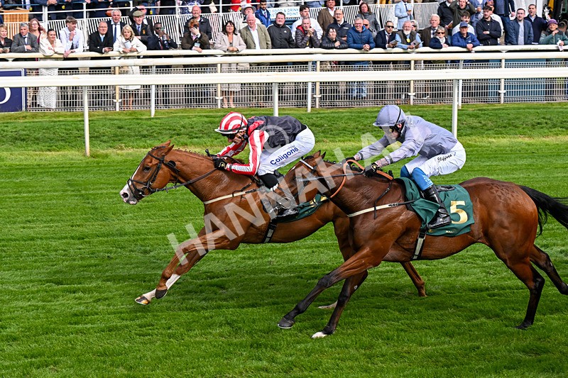 150526-Race 6-Fortification-0356 - Race 6 4.40pm Irish Thoroughbred Marketing Handicap
