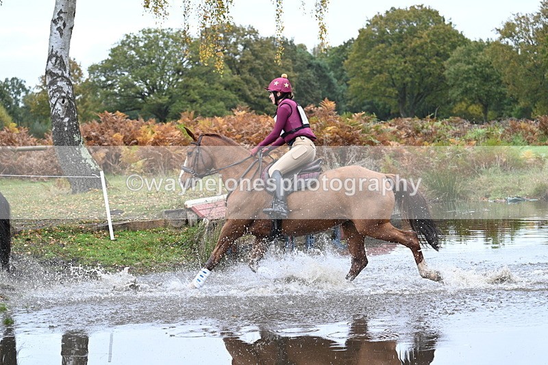 WJ7_2317 - 80cm Cam 2 Pairs Time 12:18 to 12:43