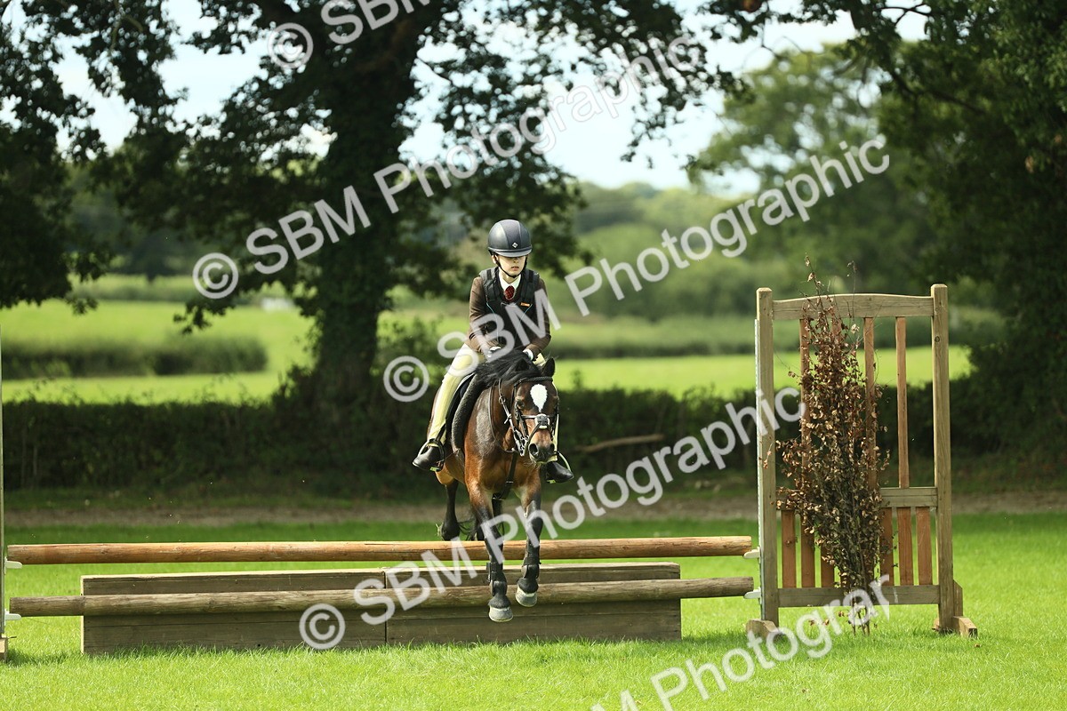 SBM_42753 - S30 - M&M Working hunter Pony