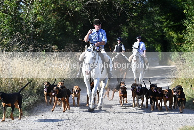 WJ5_4803 - Walk out with the hounds